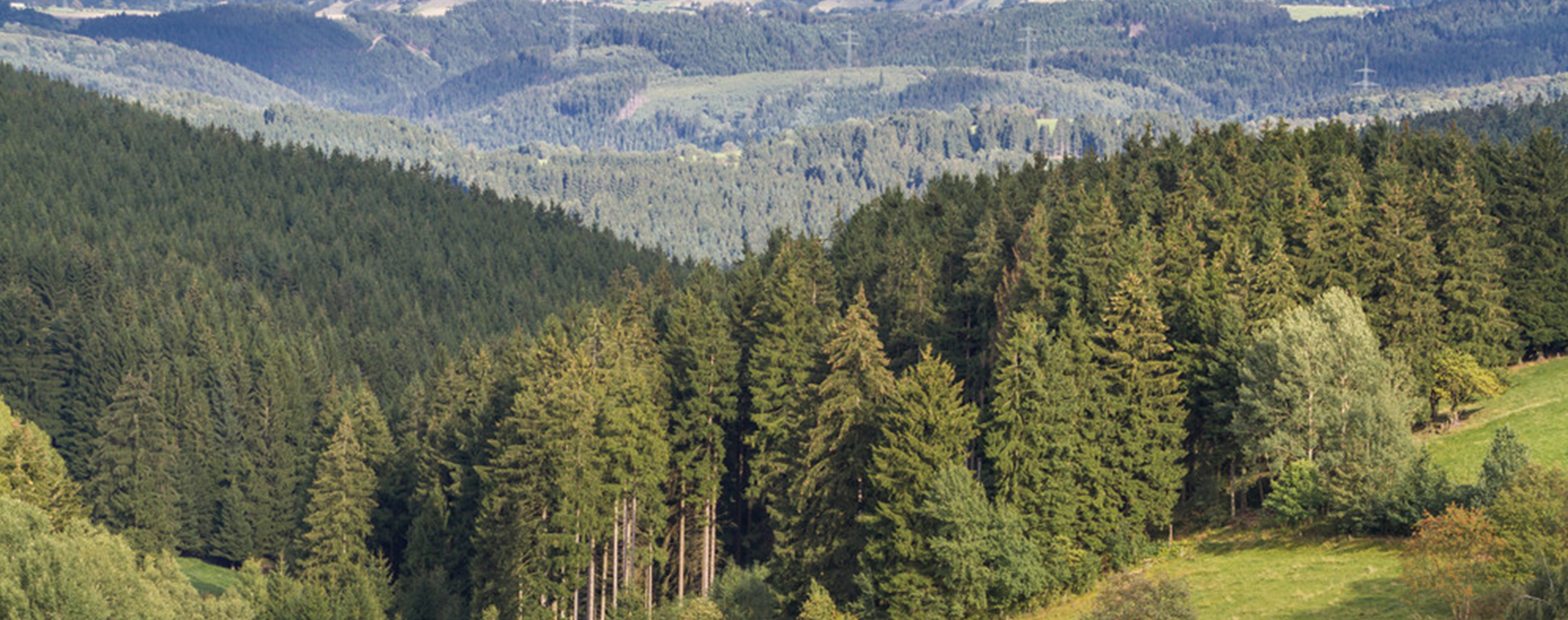 회사소개 하단이미지