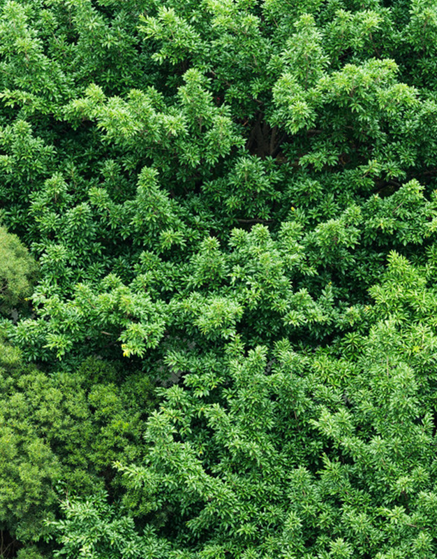 정 제품 메인 이미지